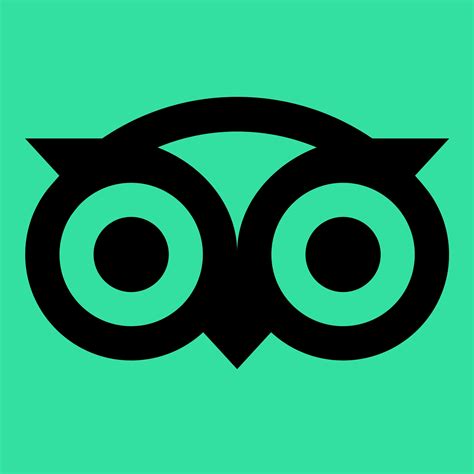 tripadvisor owl